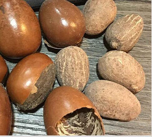 100% Shea Butter Skin Moisturizing Cream - Sterilamo