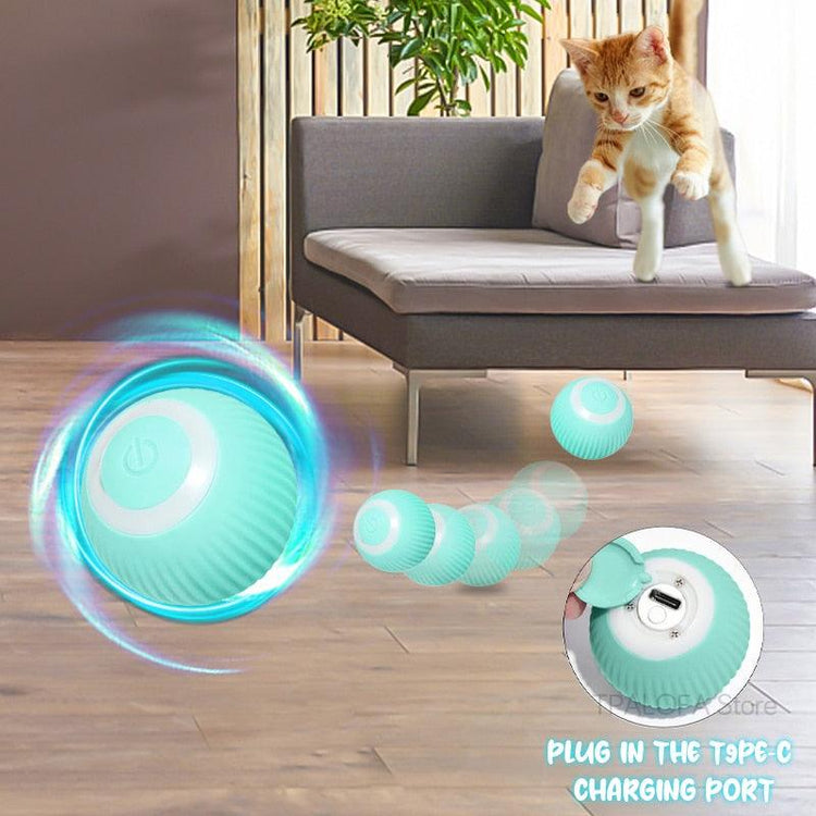 Self-moving Kitten Toys - Sterilamo