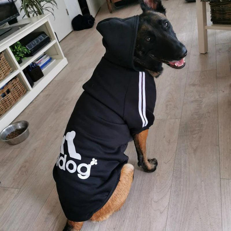 Pet Sweatshirt - Sterilamo
