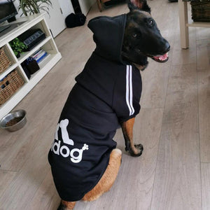 Pet Sweatshirt - Sterilamo